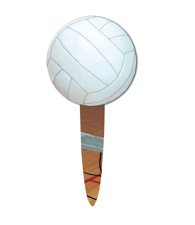HAVERCAMP PRODUCTS Volleyball – Party Picks 24-pack