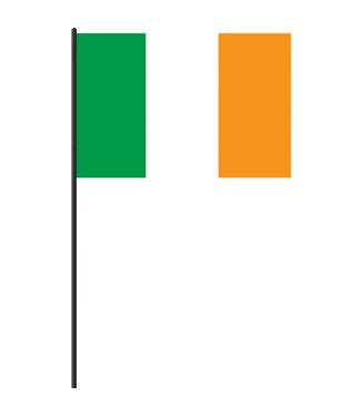 AMSCAN Large Irish Flag