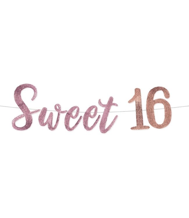 Sweet Sixteen Sequin Banner