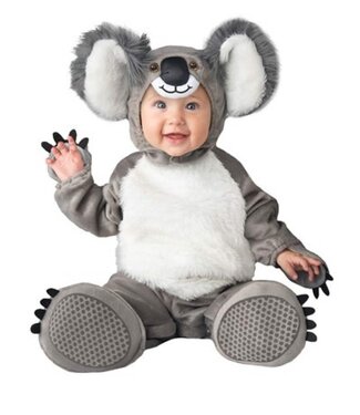 FUN WORLD Koala Kutie Costume - Infant