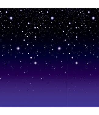 BEISTLE Starry Night Backdrop