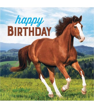 Creative Converting Horse and Pony Happy Birthday Luncheon Napkins - 16ct