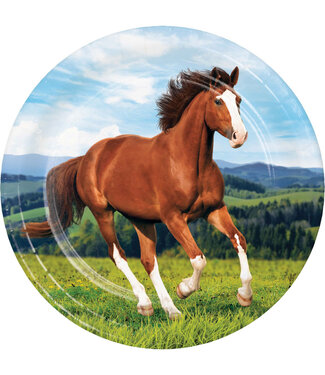 Creative Converting Horse and Pony Dinner Plates - 8ct