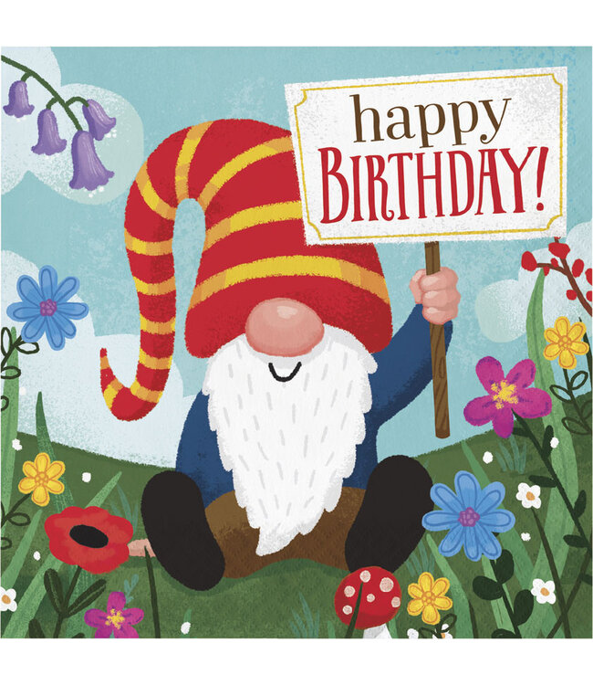 Creative Converting Party Gnomes Luncheon Napkins - 16ct