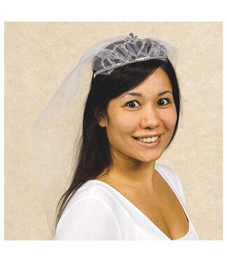 Rhinestone Tiara w/Combs & Veil