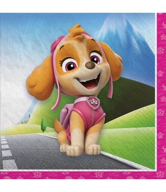 16CT BEV PAW PATROL-SKYE