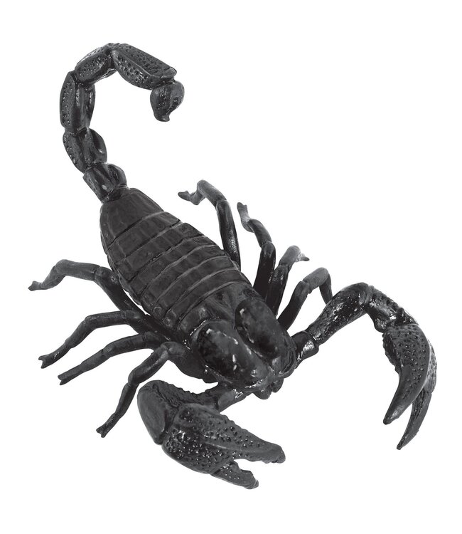 Giant Scorpion