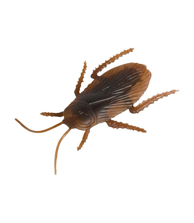 Amscan Cockroach Multi-pack