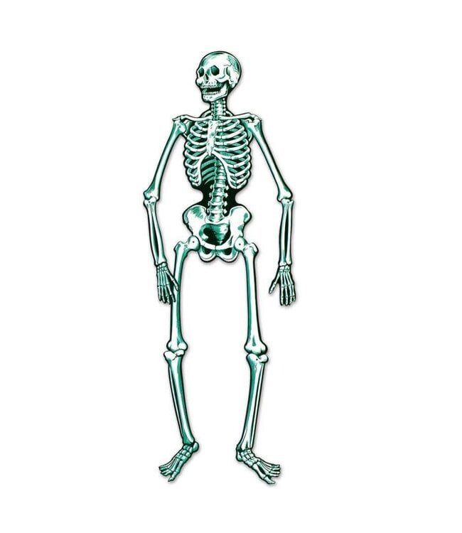 BEISTLE Jointed Skeleton