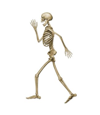 BEISTLE Profile Pete Jointed Skeleton-37in