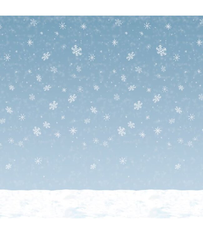Winter Sky Backdrop