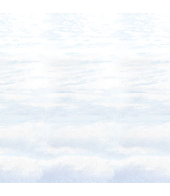 Snowscape Backdrop