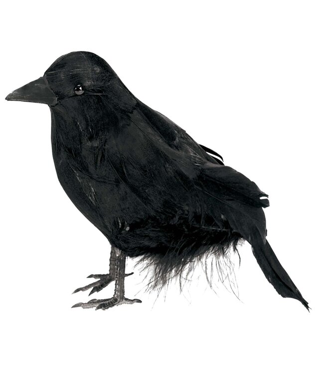 Amscan Small Feathered Raven