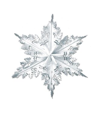 Metallic Winter Snowflake-24in., Silver