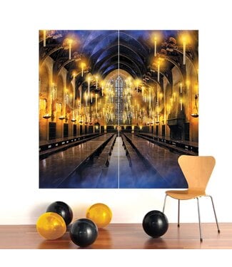 Amscan Harry Potter 2 Piece Back Drop