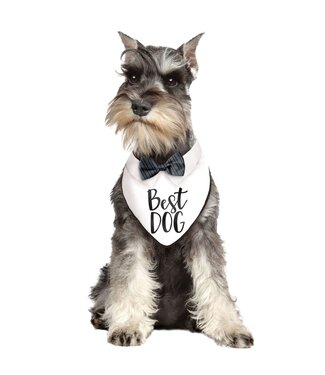 Best Dog Bandana
