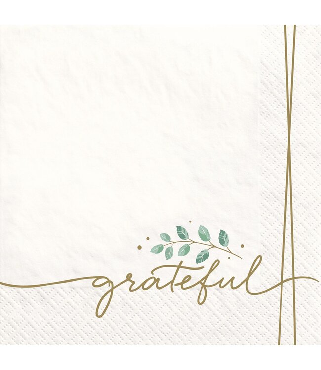 Amscan Simply Thankful Dinner Napkins