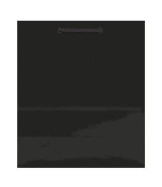 Black Solid Glossy Extra Large Bag