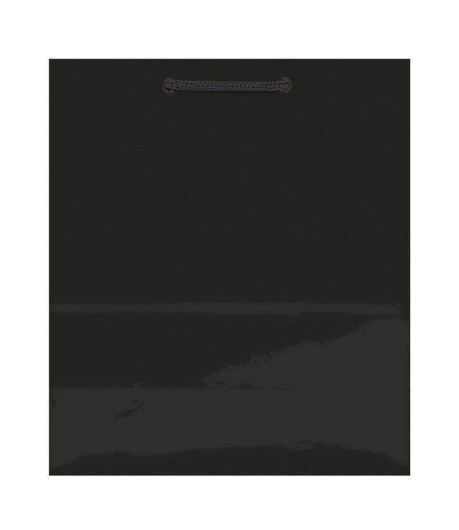 Black Solid Glossy Extra Large Bag