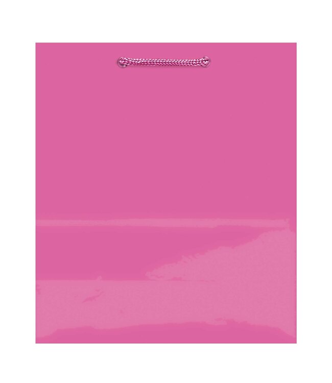 Solid Glossy Bright Pink Extra Large Bag