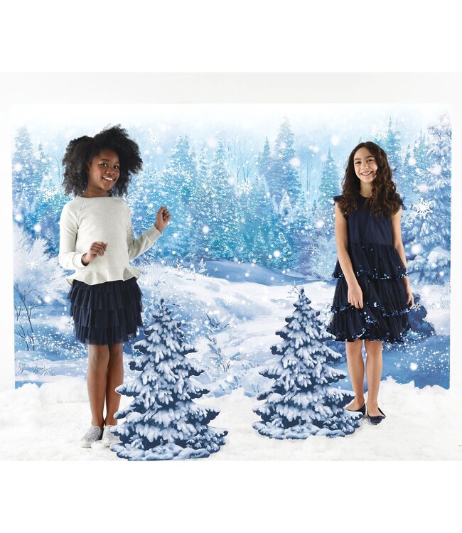 Amscan Deluxe Winter Wonderland Scene Setters®