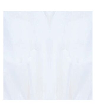 White Solid Tissue