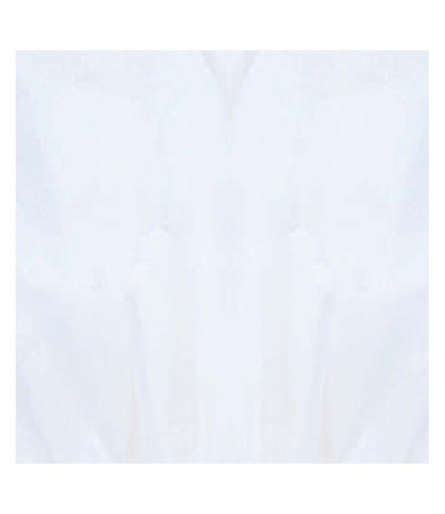White Solid Tissue