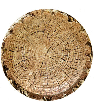 HAVERCAMP PRODUCTS Cut Timber – Plates Round 7″ 8-pack