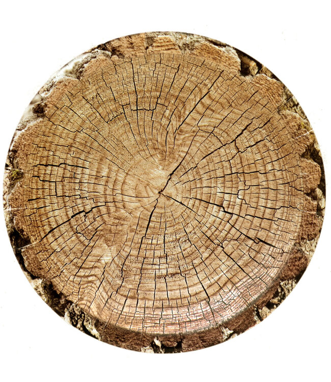 HAVERCAMP PRODUCTS Cut Timber – Plates Round 7″ 8-pack