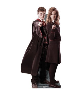 Life-size Harry Potter and Hermione Granger Cardboard Cutout