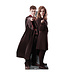 Life-size Harry Potter and Hermione Granger Cardboard Cutout