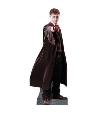 Life-size Harry Potter 02 Cardboard Cutout