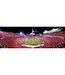 MASTERPIECES Ohio State Buckeyes - 1000 Piece Panoramic Jigsaw Puzzle - End View