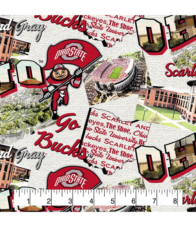 Sykel Enterprises Order by the Yard Ohio State Scenic Map Fabric