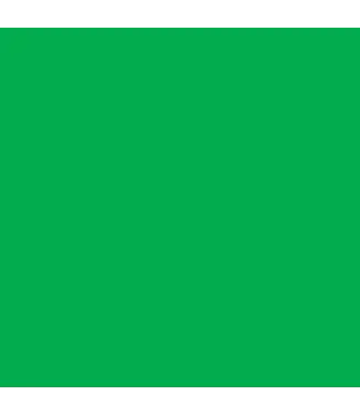 JILLSON ROBERTS Green Matte Gift Wrap - Roll