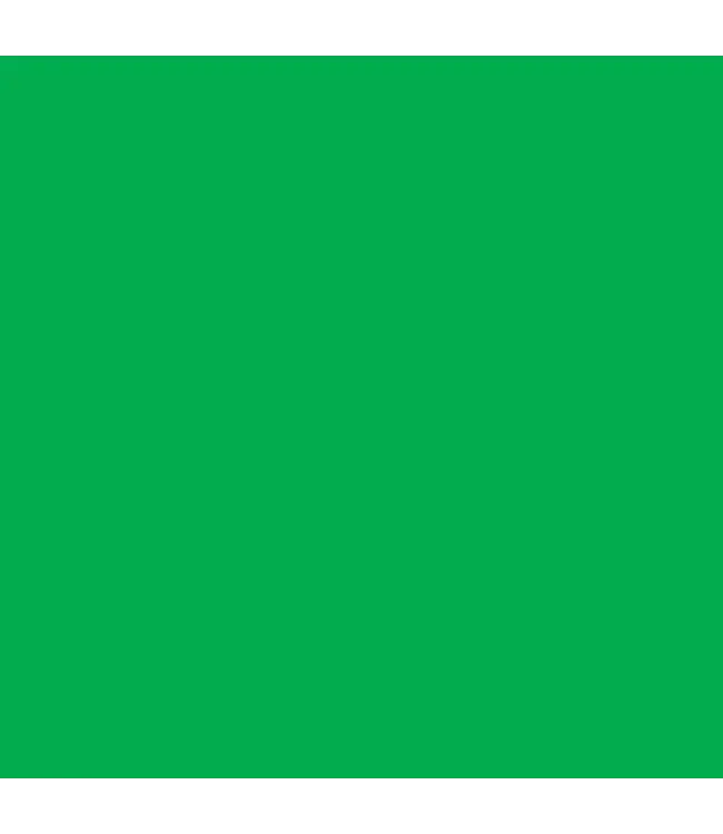 JILLSON ROBERTS Green Matte Gift Wrap - Roll