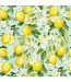 JILLSON ROBERTS Lemon Tree - Wrap - Rolls