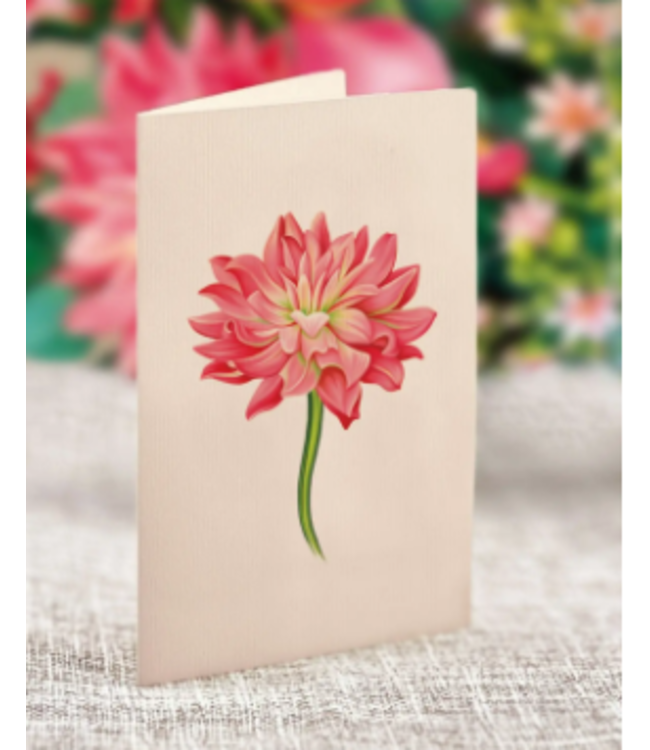 Fresh Cut Paper Dear Dahlia Pop Up Flower Bouquet