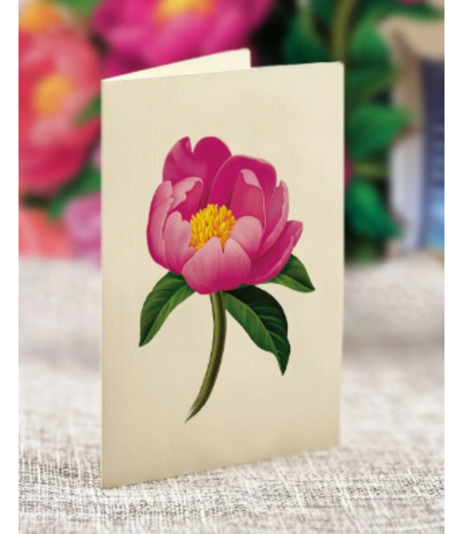 Fresh Cut Paper Peony Paradise Pop Up Flower Bouquet