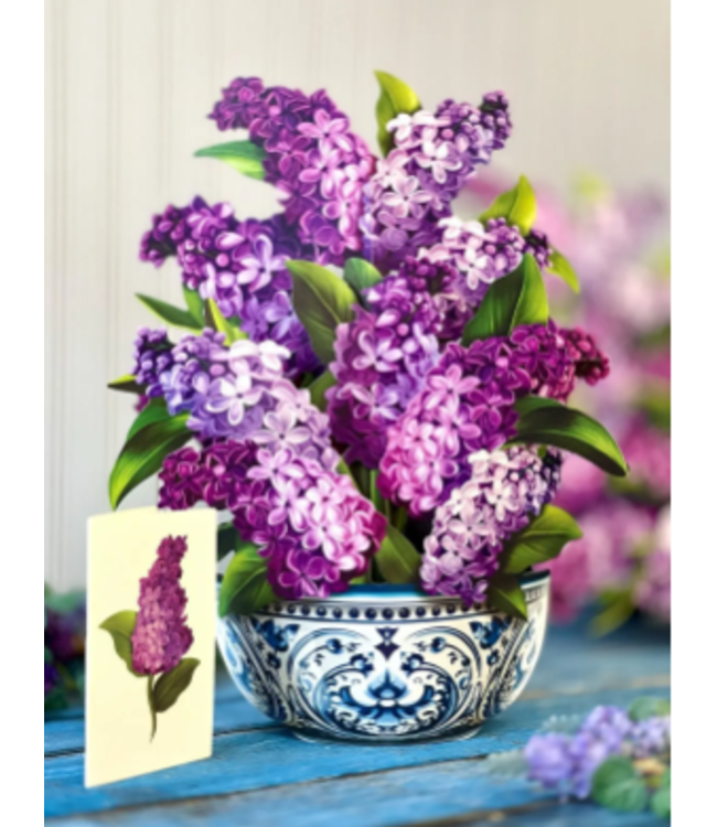 Fresh Cut Paper Garden Lilacs Pop Up Flower Bouquet