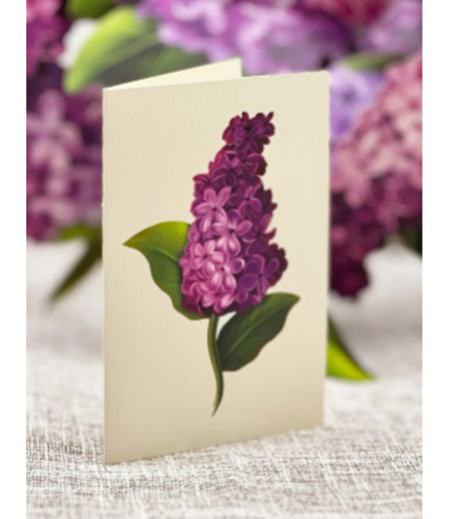 Fresh Cut Paper Garden Lilacs Pop Up Flower Bouquet