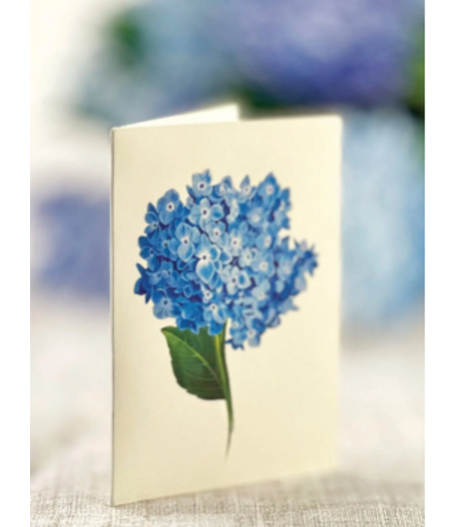 Fresh Cut Paper Nantucket Hydrangeas Pop Up Flower Bouquet