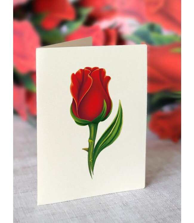 Fresh Cut Paper Red Roses Pop Up Flower Bouquet