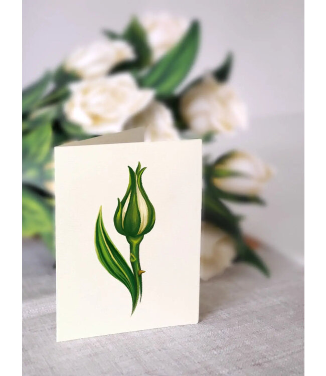 Fresh Cut Paper White Roses Pop Up Flower Bouquet