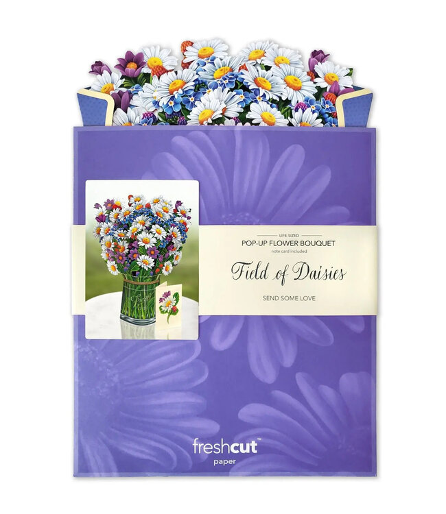 Fresh Cut Paper Field of Daisies  Pop Up Flower Bouquet
