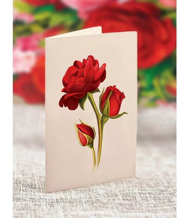 Fresh Cut Paper Mini Blooming Roses Pop-Up Card