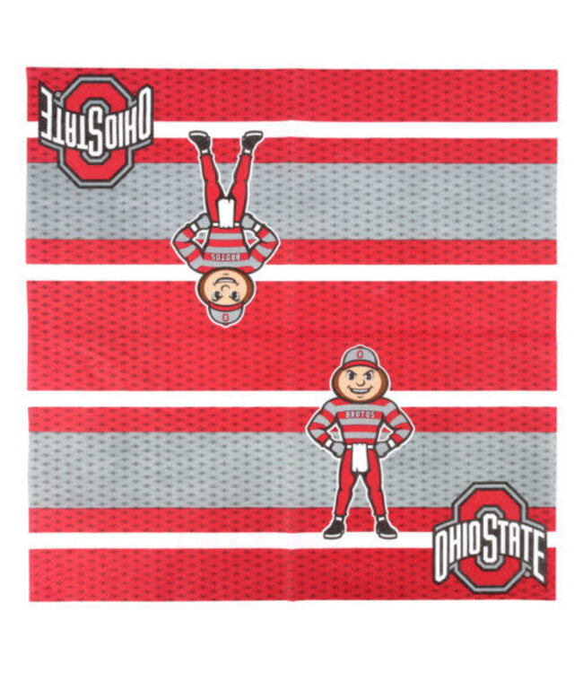 Ohio State University – Napkins Luncheon 16-pack