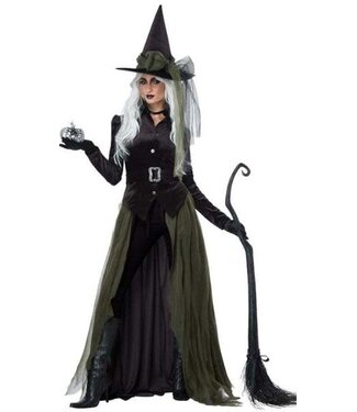 CALIFORNIA COSTUMES Gothic Witch Women's Costume