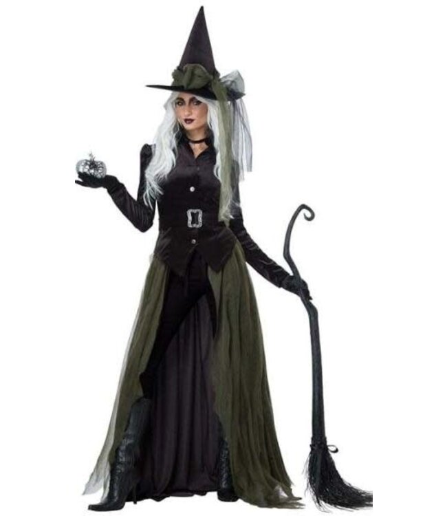 CALIFORNIA COSTUMES Gothic Witch Women's Costume