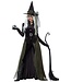 CALIFORNIA COSTUMES Gothic Witch Women's Costume